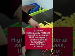 Chicote de fio amarelo Suporte de caixa de fusíveis à prova d'água 30A 250V 5*20mm 6*30mm Tubo cerâmico de vidro