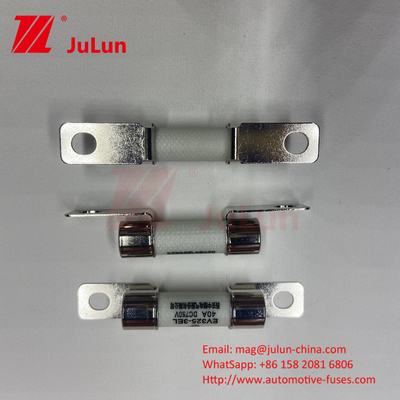 Proteção EV Veículo Elétrico Fuse Conversão de potência 15A 30A 25A 750VDC 10x38 EV FUSE
