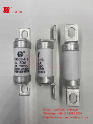 Fusão para veículos elétricos EV para DC750V Fusão DC750V 10A 15A 20A 25A 30A Para aplicações automotivas RS308
