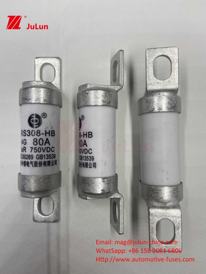 Fusível EV 100A Características Construção de parafusos Especificamente 750VDC 10A 25A 50A 63A