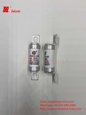 EV RS308 Fuso Mecânico de Choque 25A 30A 40A 50A Cobre Cerâmico Voltagem nominal DC750V Carregador Ev para Casa Para Carro Elétrico