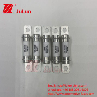 M6 Bolt Home Ev Charger 30A 40A Bolt M6 Automotive Fuse de alta qualidade 5A 500VDC