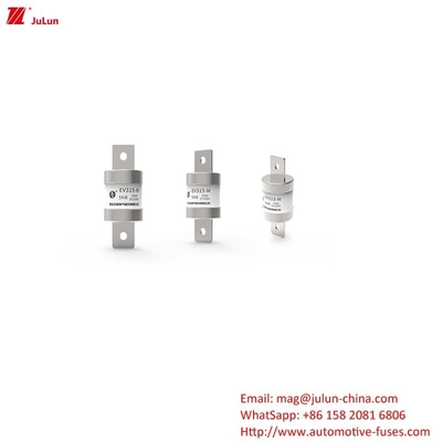 Medium Bolt On Electric Vehicle Fuse Carregamento rápido / Ev Dc Carregador rápido 500V DC