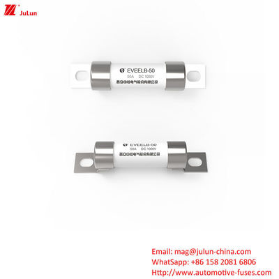 Proteção por parafuso de parafuso EV Carregador EV portátil Fusível Para Solução de Carregamento Portátil DC1000V 10A-50A