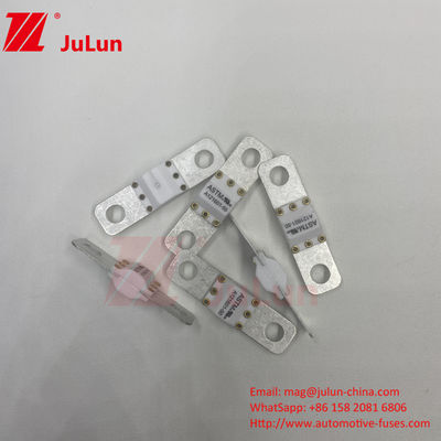 Fusível de parafuso de parafuso ASTM 300A 125VDC A121601 para proteção de veículos elétricos