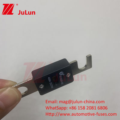 EV320-5X 80A 100A 125A 150A 175A 200A 70VDC EV Fuse para proteção de curto-circuito confiável