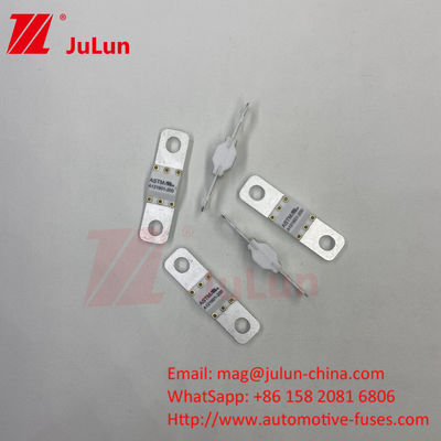 ASTM 100A Ev Charger Adapter Fuse Compatível Ccs Ev ChargerBolt parafuso 125VDC 10KA 20KA