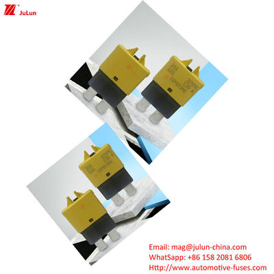 Eu UL Certified Mooring Manual Reset Circuit Breaker 30A-500A Copper Contact Marine Fuse