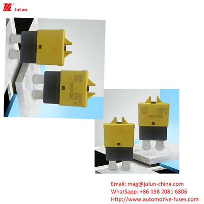 ANS MIDI MIDI segurador de fusível parafusos O parafusos automaticamente reinicia o disjuntor para seguradores automotivos com 30A para