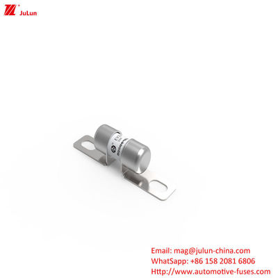 Fusão de carregador de veículos elétricos portátil de 50A DC250V com fusão média