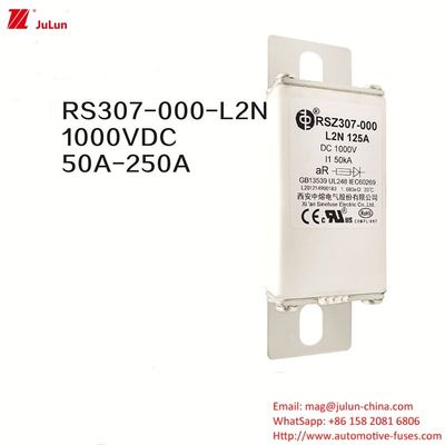 100A Bolt On Ev Dc Carregador Rápido / Carregamento Rápido de Veículo Elétrico RSZ307-000-L2N Fuse