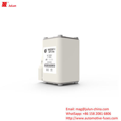Proteção do sistema de energia elétrica 160A-550A Adaptador de carregador AC EV compatível