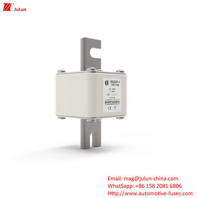 315A DC250V Carregador EV Portátil Fuse Solução Final Para Proprietários de EV