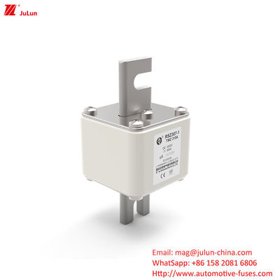 RSZ307 200A-450A DC250V Segurança para veículos elétricos