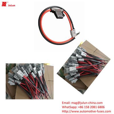 EU UL Standard Veículo elétrico segurador de fusível corrente 30A-100A Plastic / Nylon Casamento