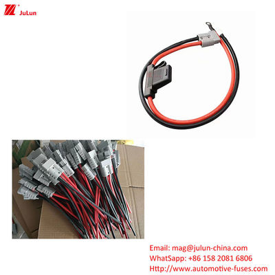 EU UL Standard Veículo elétrico segurador de fusível corrente 30A-100A Plastic / Nylon Casamento