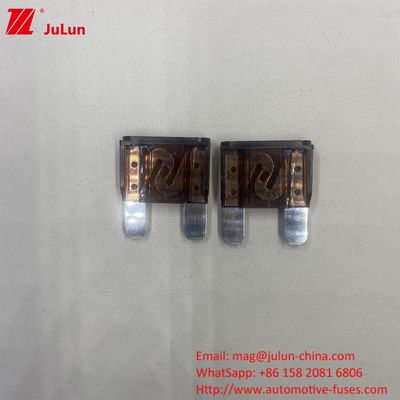 MAXT Blade Fuse 40A Manter a estabilidade Grau PA66 Brass Veículo interruptores de circuito