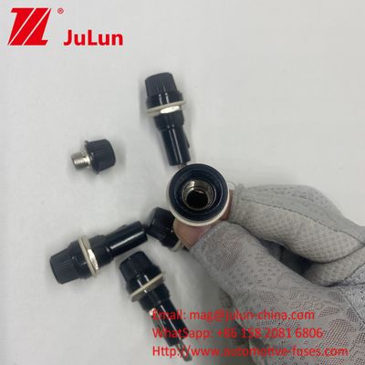 6*30mm 5*20mm Defensor de fusível para automóveis 10A 250V