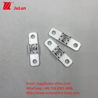 100 A 125 V DC Bateria de Carro Fuse Fornecer proteção confiável e eficiente