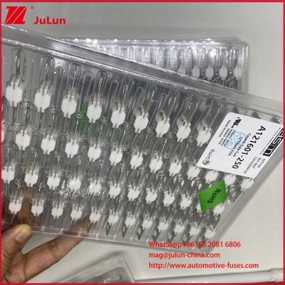 ASTM A121601-250A 125VDC FUSÍVEL EV Bolt Bateria