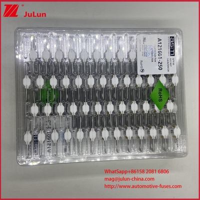 ASTM A121601-250A 125VDC FUSÍVEL EV Bolt Bateria