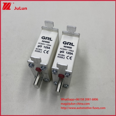 160A, 200A, 250A, 315A, 400A, NT000, NT00, NT0, NT1, NT2, NT3, NT4 Fusível de Lâmina e Base de Fusível 500V AC 10A~100A, 125A, 500A 630A