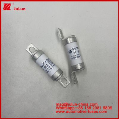 Frequency Converter AR Usage Category Ceramic Automotive Fuses RS308-HB-4G 80A 550VDC 690VAC With Ceramic Copper Silver Quartz Sand Gold Material