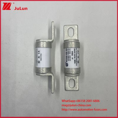 Variable Frequency 550AVDC Controller 50A 63A Vehicle Fuses RS308 Industrial-Grade Ceramic For Heavy-Duty Vehicles Rated Current 10A To 710A Rated Voltage AC690V/DC550V