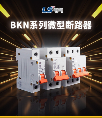 Micro interruptor quebrado de BKN, interruptor pequeno elétrico do LG/LS
