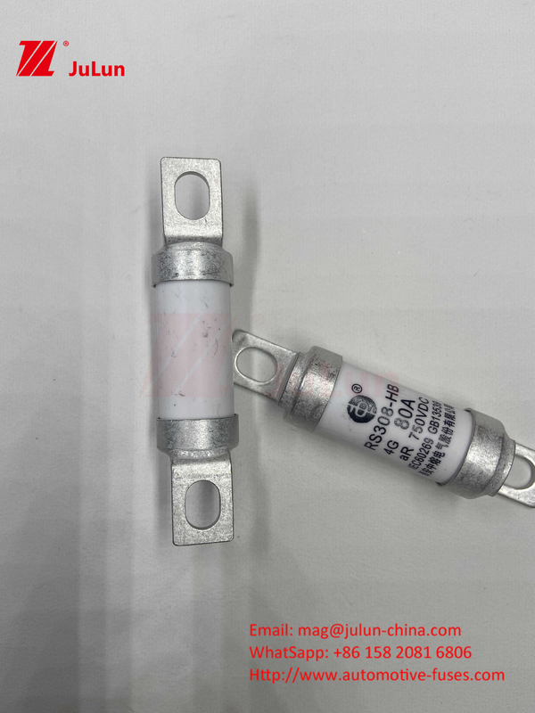 Tubo cerâmico 20x46mm 15A 40A 50A RS308 HB G FUSE 750VDC EV325 100A