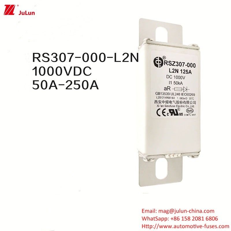 100A Bolt On Ev Dc Carregador Rápido / Carregamento Rápido de Veículo Elétrico RSZ307-000-L2N Fuse