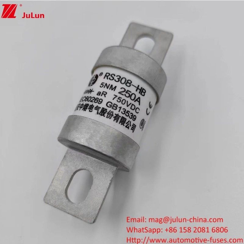 200A 250A 300A -400A Parafusos para veículos elétricos M8 M6 Método de montagem Terminal Tipo de fusível de energia 750VDC