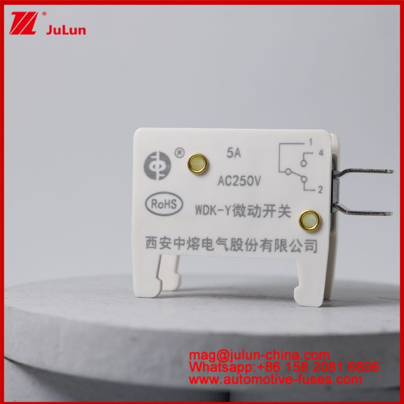 WDK-Y 5A 250V Micro Switch Automobile Mount Fuse Para Veículo EV / HEV Base de fusível especialmente projetada para situação do veículo