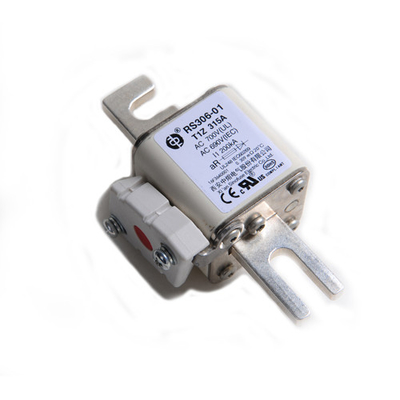 Os veículos elétricos do trânsito do trilho enviam fusíveis cerâmicos RS306 690V da eletricidade os auto
