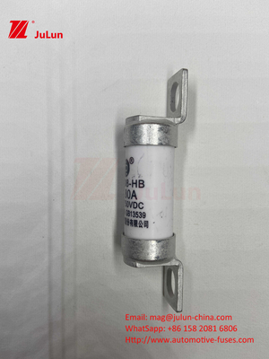 63A RS308 HB Fusível montado com parafuso 80A 10A 15A 40A Fusíveis cerâmicos para automóveis com parafuso