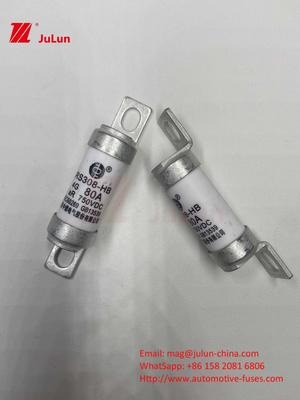 Fusíveis de veículos elétricos de cerâmica 750VDC para carregamento seguro de automóveis 63A25A 15A 30A 750VDC RS308 FUSE