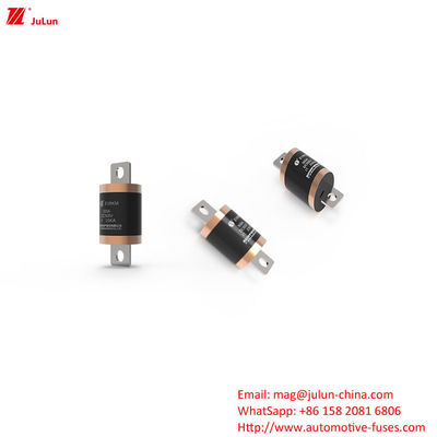 Bolt Screw Home Ev Carregador Para Carro Elétrico / Ev Dc Carregadores Rápidos Fuse Voltagem nominal DC500V 20kA