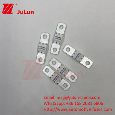 Fusível de automóvel elétrico ASTM 121601 80A 125VDC