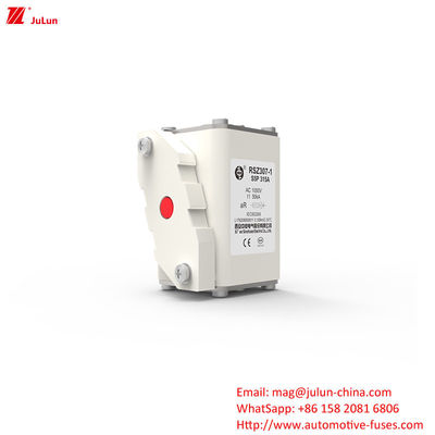 315A AC1000V Carregador EV portátil Fusíveis de carro com alta capacidade de quebra
