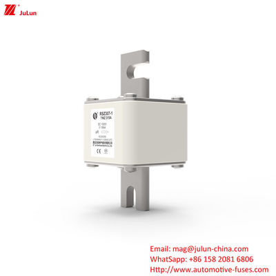 315A DC250V Carregador EV Portátil Fuse Solução Final Para Proprietários de EV
