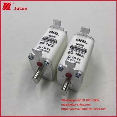 160A, 200A, 250A, 315A, 400A, NT000, NT00, NT0, NT1, NT2, NT3, NT4 Fusível de Lâmina e Base de Fusível 500V AC 10A~100A, 125A, 500A 630A