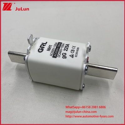 NH000 NT000 300A 225A 500V 120kA Fusível de alta capacidade de ruptura Fusível de ligação com GG-gL Knife Contactor Blade