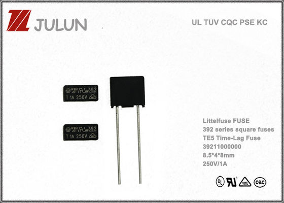 Da ligação radial lenta do sopro do quadrado do NTS fusível Subminiature 2.5A 250V